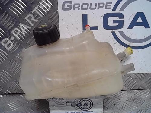 Used Expansion tank RENAULT MEGANE III Hatchback (BZ0/1_, B3_) 1.5 dCi (86 hp) 13860098