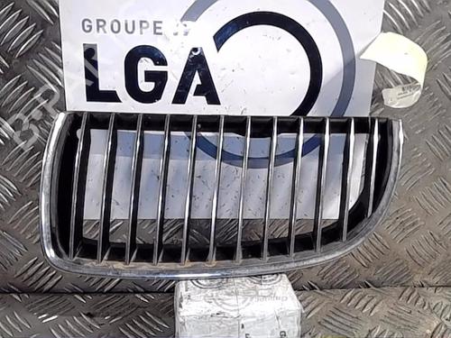 Used Grille BMW 3 Touring (E91) 330 xd (231 hp) 14557122