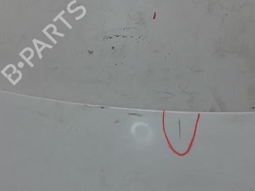 Used Hood RENAULT CLIO III (BR0/1, CR0/1) 1.5 dCi (C/BR0G, C/BR1G) (68 hp) 16566685