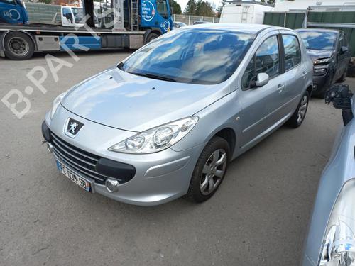 Hood PEUGEOT 307 (3A/C) 1.6 HDi 110 | BP13829488C1 