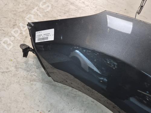 Left front fenders CITROËN C3 II (SC_) 1.4 HDi 70 (SC8HZC, SC8HR0, SC8HP4) | BP29758438C41