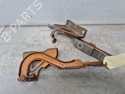 Hinge/Door check strap DACIA SANDERO III 1.0 TCe 100 | BP32292411C146