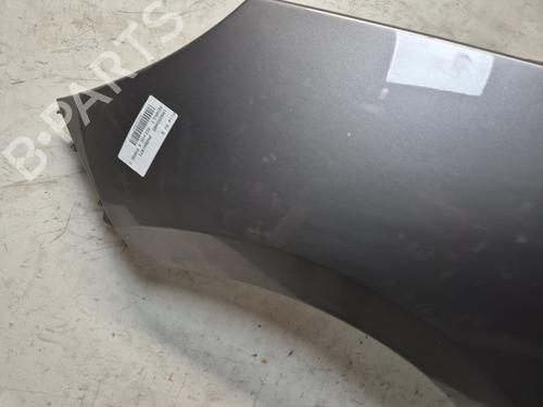 Left front fenders RENAULT SCÉNIC III (JZ0/1_) 1.5 dCi | BP28105479C41 