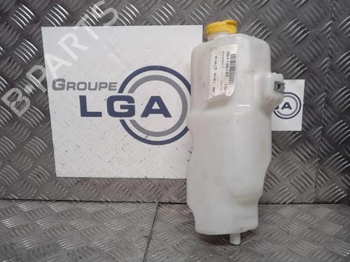 Windscreen washer tank RENAULT TWINGO III (BCM_, BCA_)  | BP13860617C113 