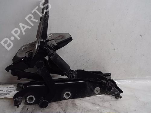 Hinge/Door check strap JAGUAR XF I (X250) 3.0 D | BP17024486C146 