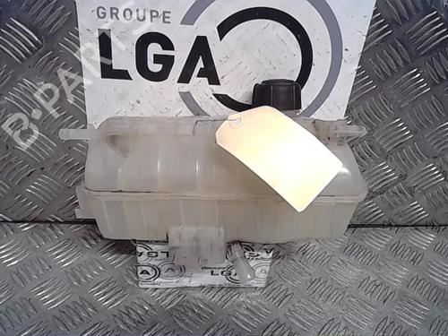 Used Expansion tank RENAULT KANGOO / GRAND KANGOO II (KW0/1_) 1.5 dCi 90 (KW05, KW08, KW0G, KW11) (90 hp) 13850733