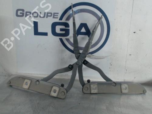 Used Hinge/Door check strap BMW 3 (E90) [2004-2012]  14571994