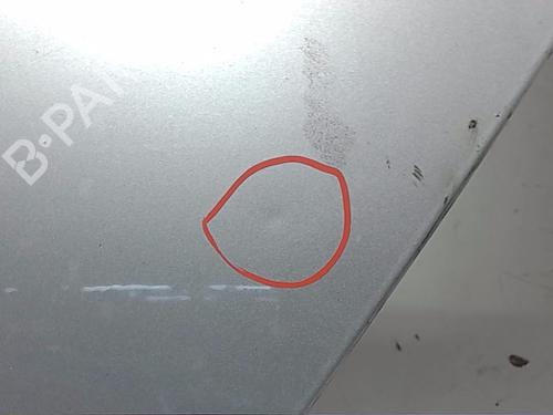 Used Left rear door RENAULT LAGUNA III (BT0/1) 2.0 dCi (BT01, BT08, BT09, BT0E, BT0K, BT12, BT1C, BT1D,... (150 hp) 13824085