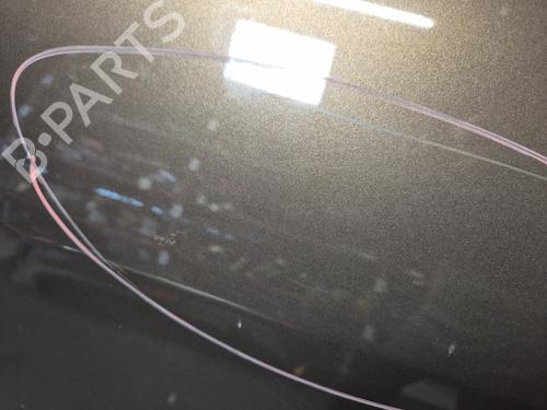Left rear door RENAULT SCÉNIC III (JZ0/1_) 1.5 dCi | BP28966703C4 