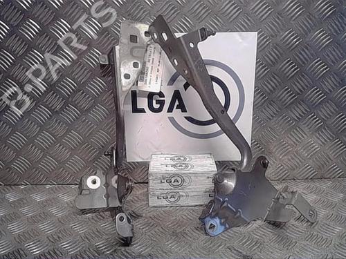 Used Hinge/Door check strap RENAULT SCÉNIC III (JZ0/1_) 1.6 dCi (JZ00, JZ12) (130 hp) 14554142