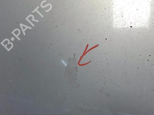 Hood SEAT ALHAMBRA (7V8, 7V9) 1.9 TDI | BP13824536C1 