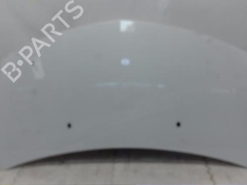 Panser RENAULT CLIO III (BR0/1, CR0/1) [2005-2014]  13835228