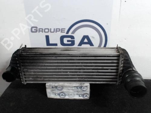 Used Intercooler FORD TRANSIT CONNECT (P65_, P70_, P80_) 1.8 Di (75 hp) 13870471