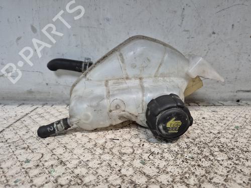Expansion tank NISSAN QASHQAI II (J11, J11_) 1.5 dCi | BP25125896C120 
