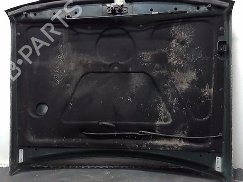 Hood LAND ROVER DISCOVERY II (L318)  | BP19394987C1 