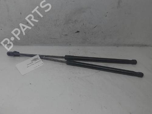 Tailgate lift support VW POLO V (6R1, 6C1)  | BP15189596C138 