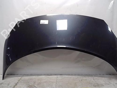 Used Hood RENAULT GRAND SCÉNIC II (JM0/1_) [2004-2009]  13839306