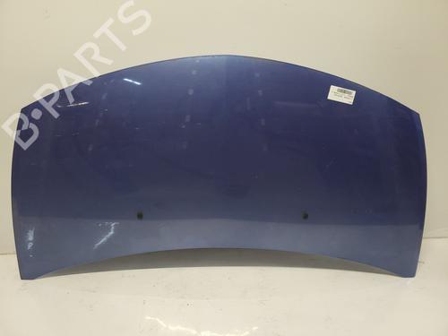 hood-renault-clio-iii-br01-cr01-2005-2006-2007-2008-2009-2010-2011-2012-2013-2014-31283459 main image