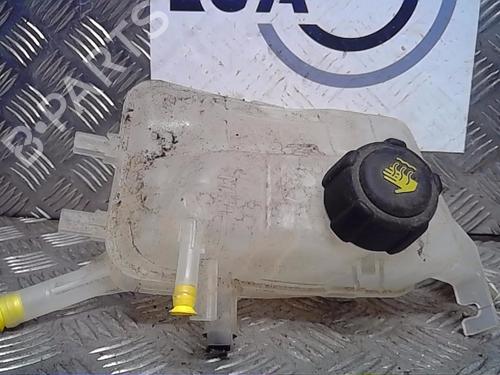 Used Expansion tank RENAULT MEGANE III Hatchback (BZ0/1_, B3_) 1.6 dCi (BZ00, BZ12, BZ13) (130 hp) 13854027