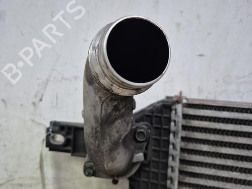 Intercooler NISSAN QASHQAI I (J10, NJ10) | BP29845982M30