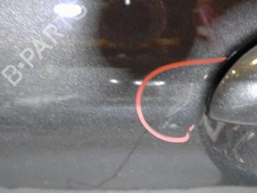 Left rear door PEUGEOT 206+ (2L_, 2M_)  | BP15189571C4 