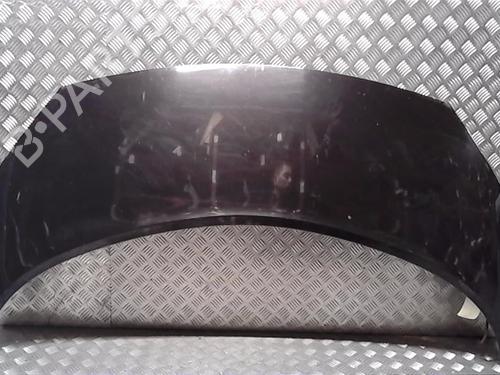 Panser RENAULT GRAND SCÉNIC II (JM0/1_) [2004-2009]  13861858