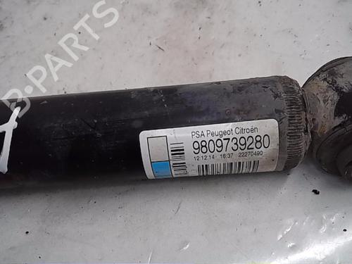 Left rear shock absorber CITROËN C4 CACTUS 1.6 BlueHDi 100 | BP16869939M18 