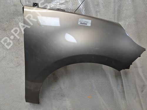 Used Left front fenders RENAULT SCÉNIC III (JZ0/1_) 1.5 dCi (106 hp) 31275676