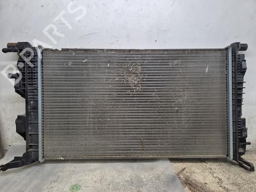 Kjøler RENAULT MEGANE III Hatchback (BZ0/1_, B3_) | BP30824540M31