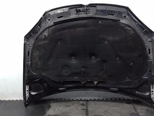 Hood VW GOLF V (1K1)  | BP21496856C1 