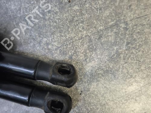 Tailgate lift support SUZUKI SWIFT IV (FZ, NZ) 1.2 (AZH412, ZC72S) | BP30187721C138