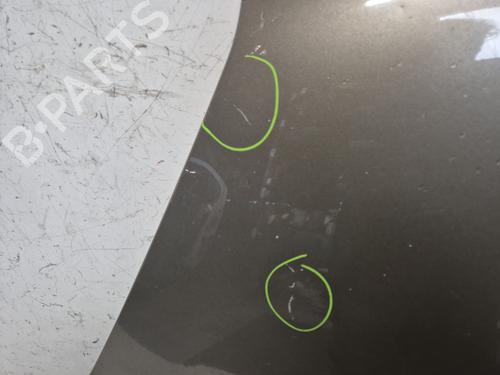 Hood CITROËN C4 Picasso I MPV (UD_)  | BP29195663C1 