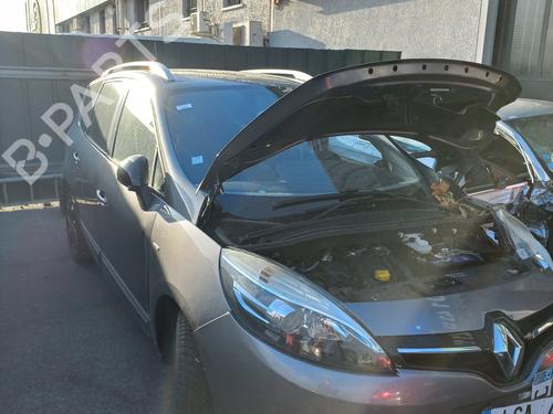 Warning switch RENAULT SCÉNIC III (JZ0/1_) 1.5 dCi | BP31029737I22