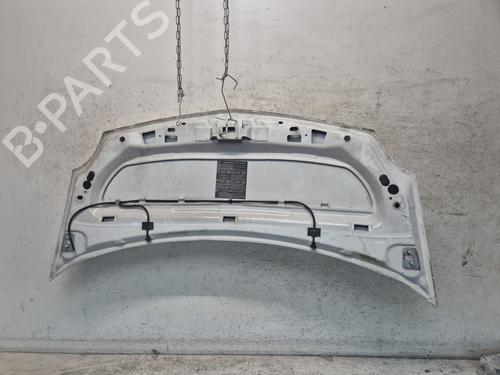 Cofano anteriore RENAULT KANGOO Express (FW0/1_)  | BP30447314C1 