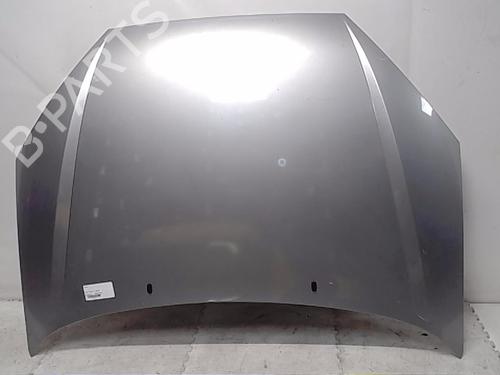 Used Hood FORD FOCUS I Turnier (DNW) 1.8 TDCi (100 hp) 13845333