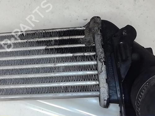 Intercooler RENAULT KANGOO Express (FC0/1_) | BP16377000M30