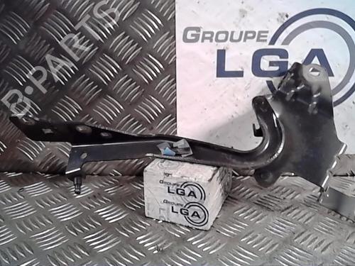 Used Hinge/Door check strap RENAULT SCÉNIC III (JZ0/1_) 1.5 dCi (110 hp) 14551843