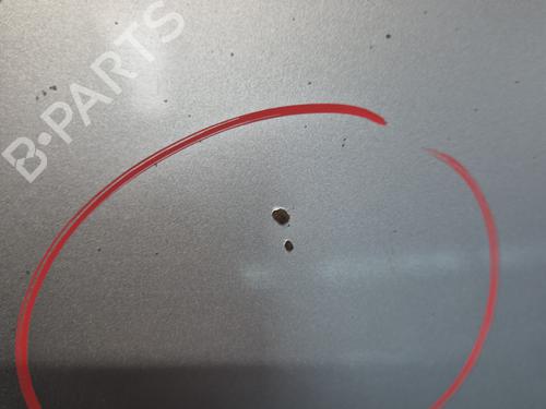 Hood RENAULT SCÉNIC III (JZ0/1_) 1.6 dCi (JZ00, JZ12) | BP29901505C1