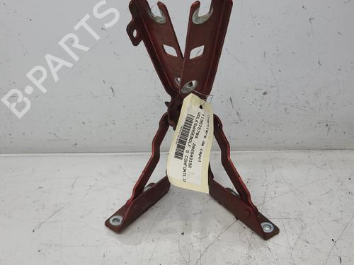 hingedoor-check-strap-vw-golf-v-1k1-2003-2004-2005-2006-2007-2008-2009-2010-36053694 main image