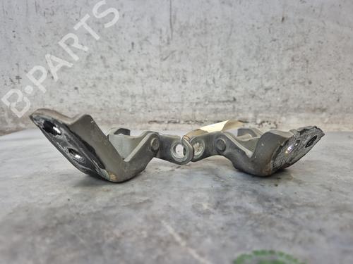 Hinge/Door check strap NISSAN QASHQAI I (J10, NJ10)  | BP30117538C146 