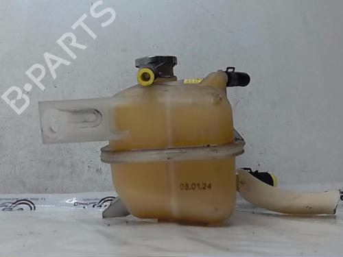 Used Expansion tank RENAULT KOLEOS I (HY_) 2.0 dCi 4x4 (HY0K) (150 hp) 17193923