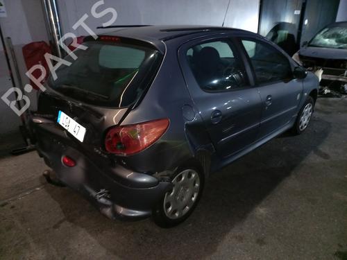 Left mirror PEUGEOT 206 Hatchback (2A/C)  | BP30447347C26 