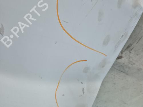 Right front door RENAULT TRAFIC II Van (FL)  | BP30556294C3 