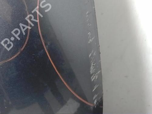 Hood CITROËN C3 I (FC_, FN_)  | BP21060605C1 