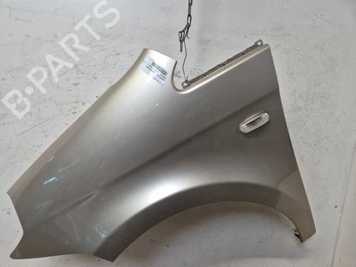 Used Left front fenders LANCIA MUSA (350_) 1.9 D Multijet (350.AXC1A) (101 hp) 24576051