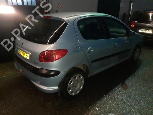 Left mirror PEUGEOT 206 Hatchback (2A/C) 1.4 16V | BP20507883C26 