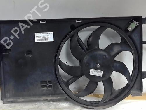 Used Radiator fan Radiator fan PEUGEOT BIPPER (AA_) 1.3 HDi 75 (75 hp) 19281265 19281265