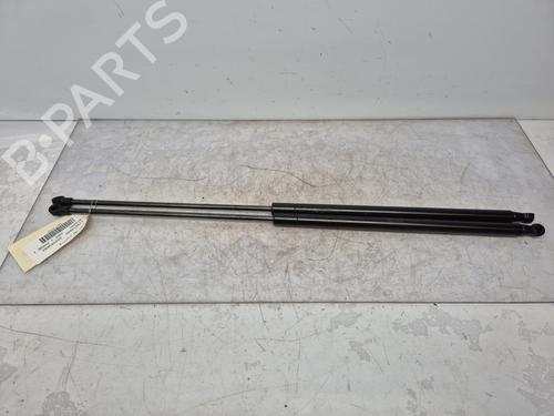 tailgate-lift-support-nissan-juke-f15-2010-2011-2012-2013-2014-2015-2016-2017-2018-2019-32457006 main image