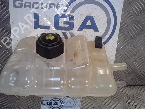 Used Expansion tank RENAULT GRAND SCÉNIC IV (R9_) 1.5 dCi 110 (R9A3) (110 hp) 13859565
