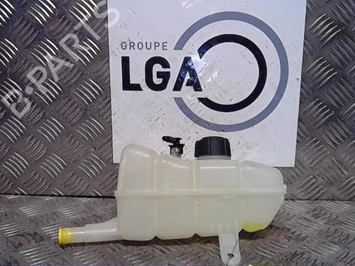 Used Expansion tank RENAULT MEGANE IV Hatchback (B9A/M/N_) [2015-2025]  13856462
